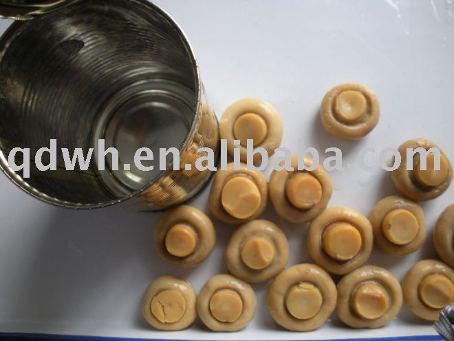  Canned   mushroom  in  tin 