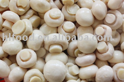 preserved whole champignon mushroom