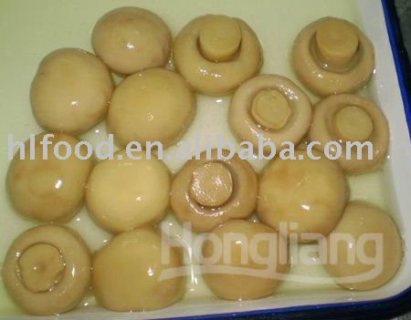 whole fresh champignon mushroom in can