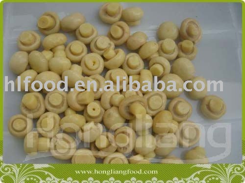 canned whole champignons