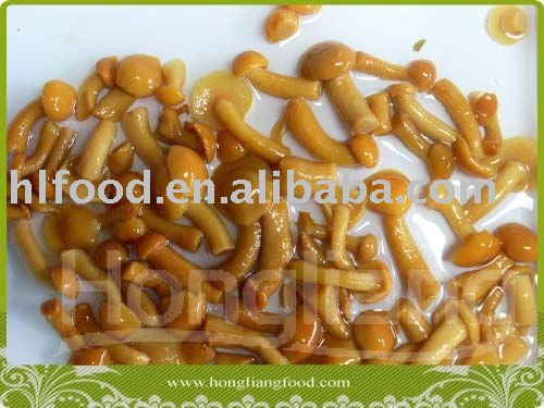 canned  nameko