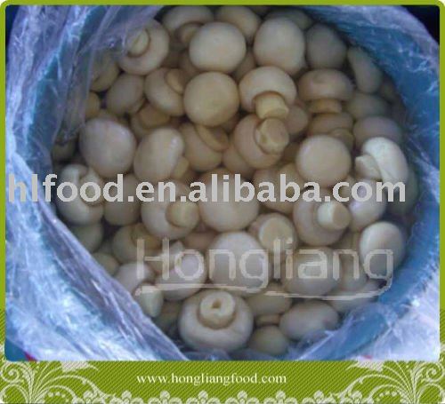  Agaricus   mushroom  in conserve