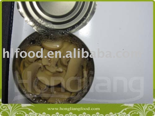 canned slice fresh champignon mushroom