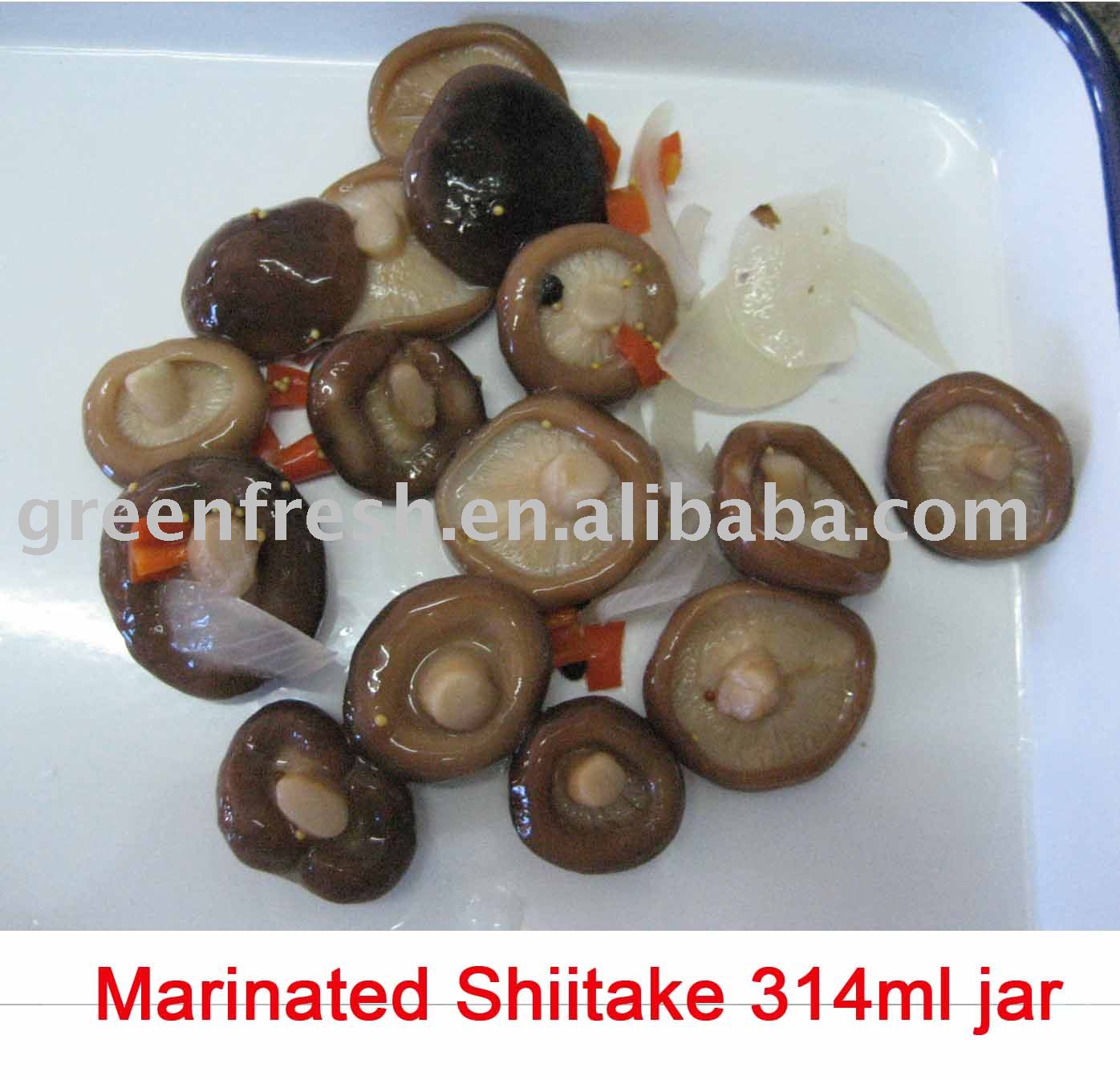 Canned Marinated  Shiitake  in  jar s