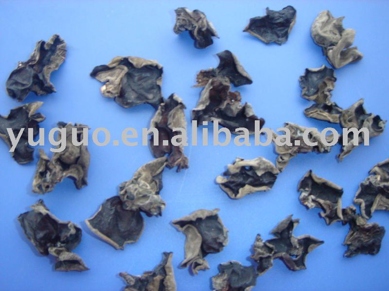 dried black fungus
