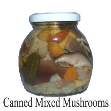 canned mixed mushroom (canned brined mushroom)