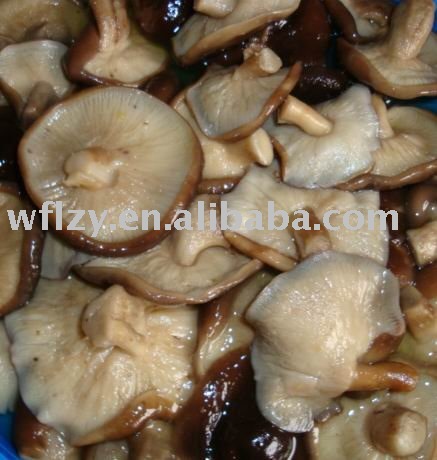  shiitake   mushroom  in  brine  packing indrum