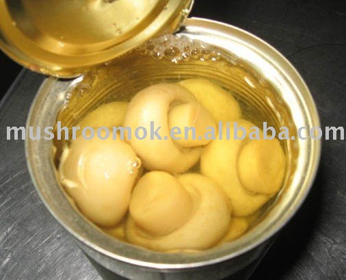 canned mushroom whole (White Button)