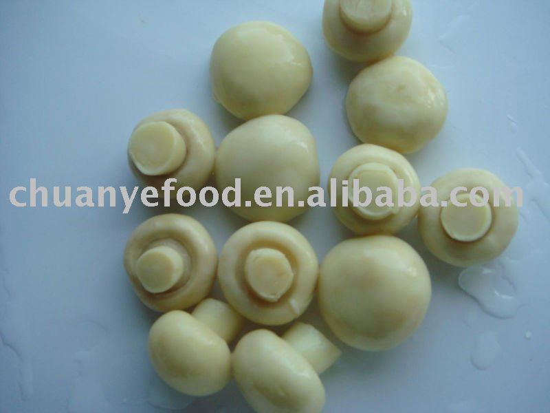 425g Canned whole mushroom