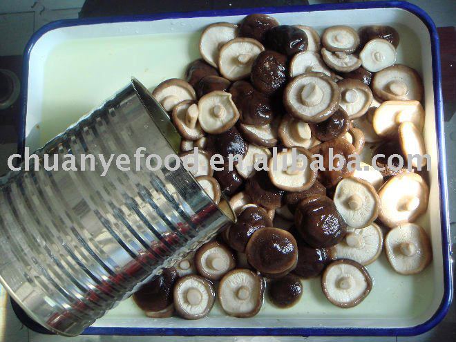 canned shiitake mushroom whole