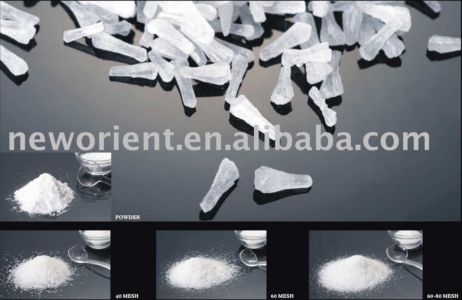 Monosodium Glutamate (MSG)