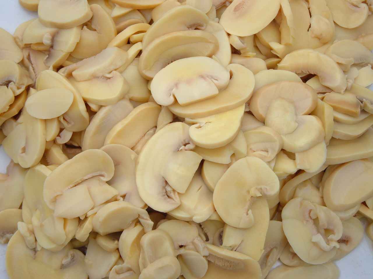 Mushrooms In Drums