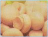 CANNED MUSHROOM