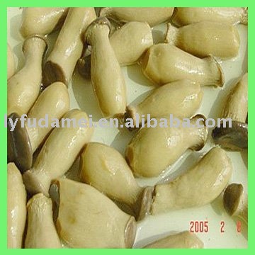 canned king oyster mushroom