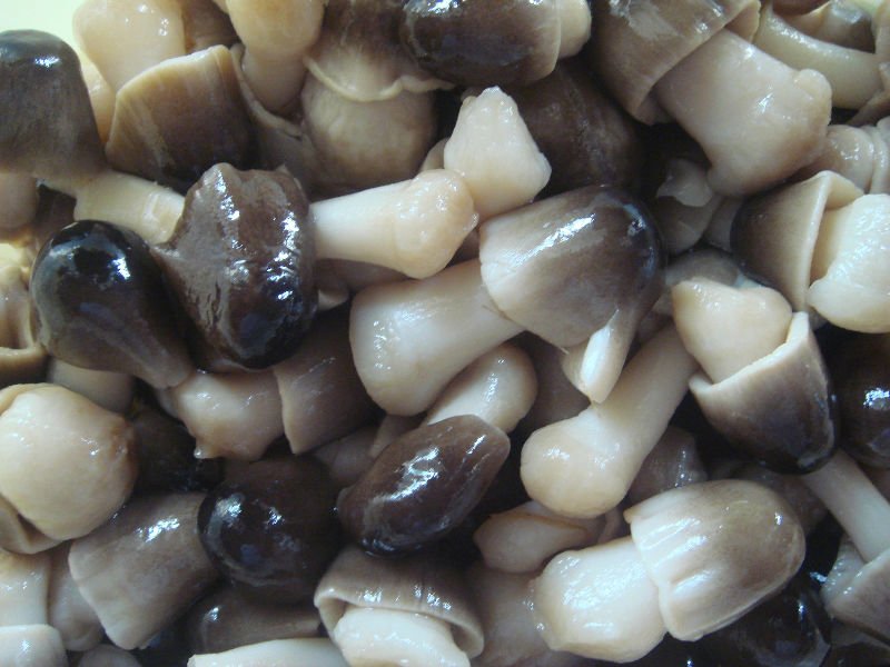 SF Unpeeled Straw Mushroom