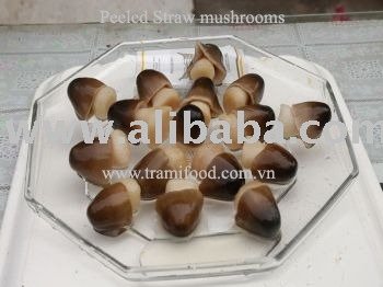 CANNED PEEL STRAW MUSHROOM