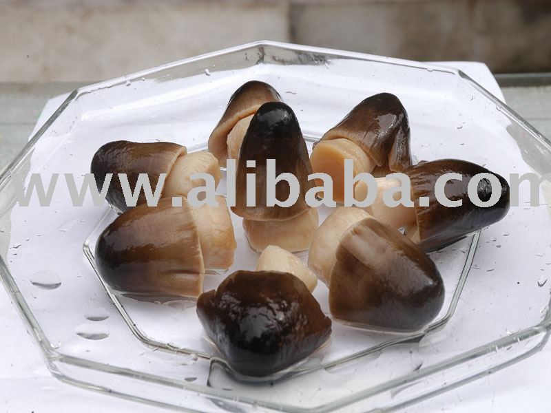 Canned Straw Mushroom