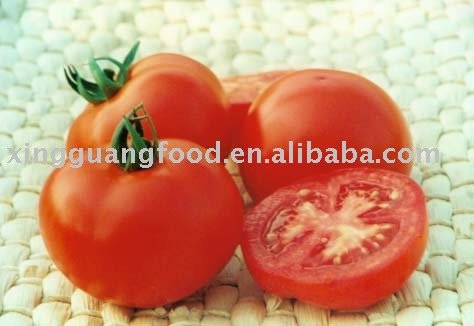 canned tomato paste