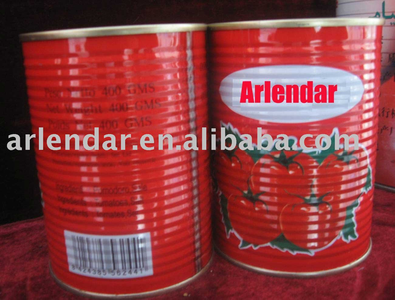 canned tomato paste salsa