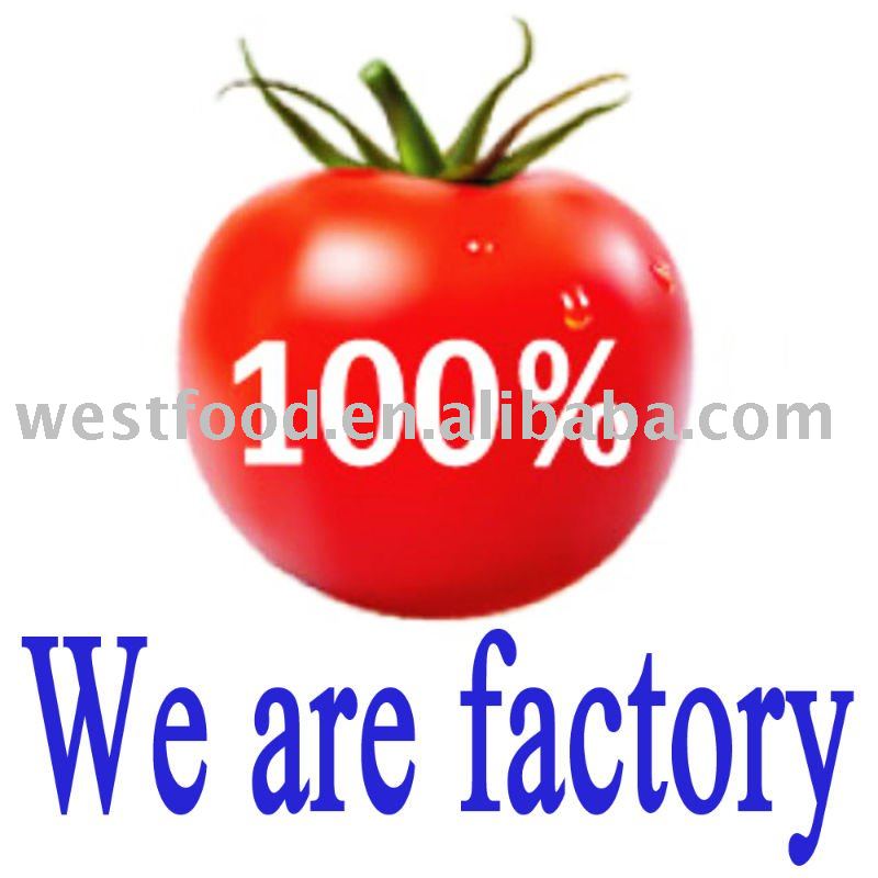 Canned tomato paste--double concentrated (28-30%,24-26%,22-24%,18-20%)