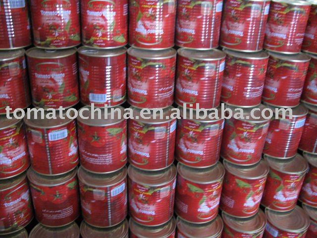 Canned  Tomato Paste 800g