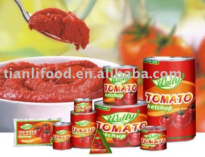 Tinned Tomato Paste Plant 28-30