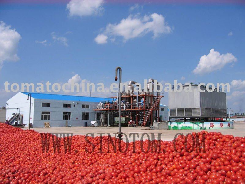 28-30% Hot Break Tomato Paste
