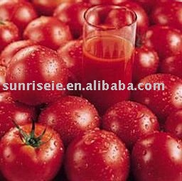 tomato ketchup