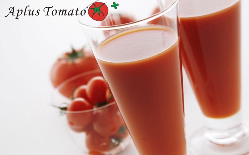 aseptic tomato puree 36-38% cold break for juice industry, Haccp certified, Drum package
