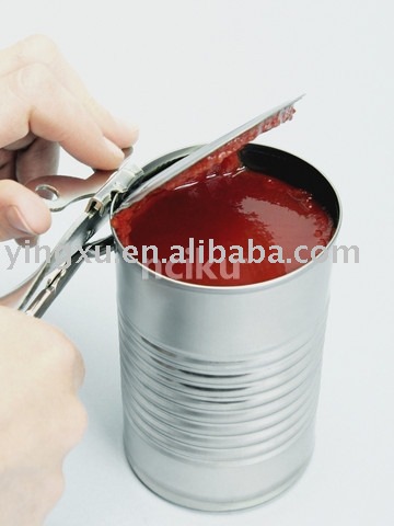 canned tomato paste(ketchup,tomato puree)