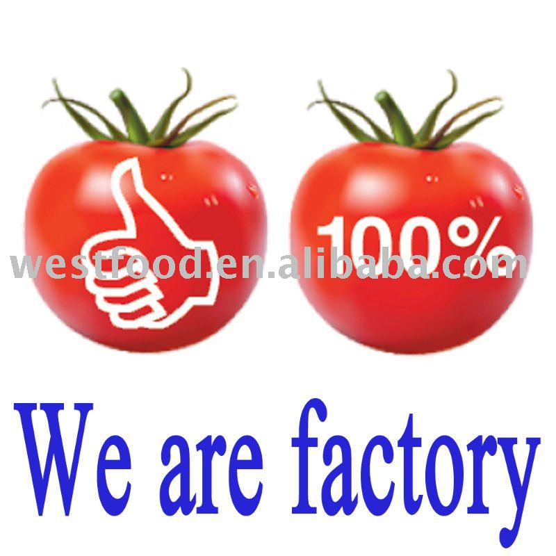 tomato paste 28-30%CB