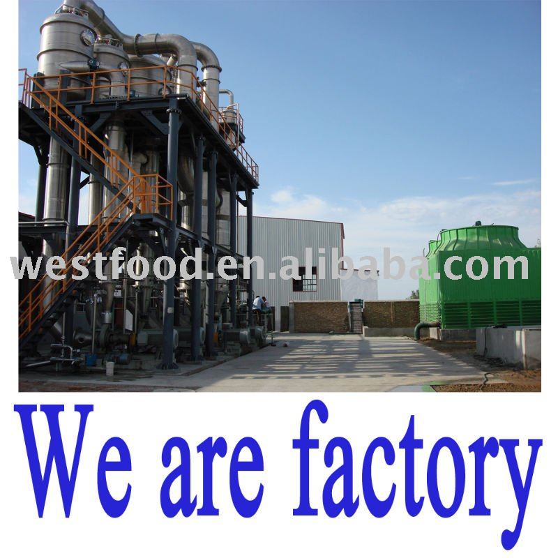 aseptic double concentrate tomato paste in 220L steel drum brix:36-38%cb;30-32%hb cb;28-30%hb&am