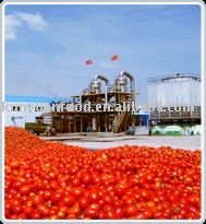 28%-30% tomato puree, ketchup