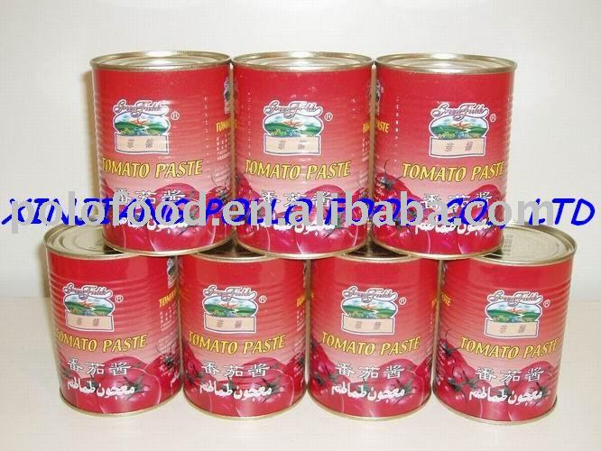 24X400g canned tomato paste brix 28-30