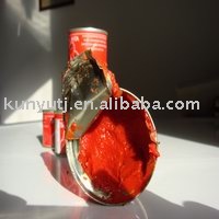 canned tomato paste 198g