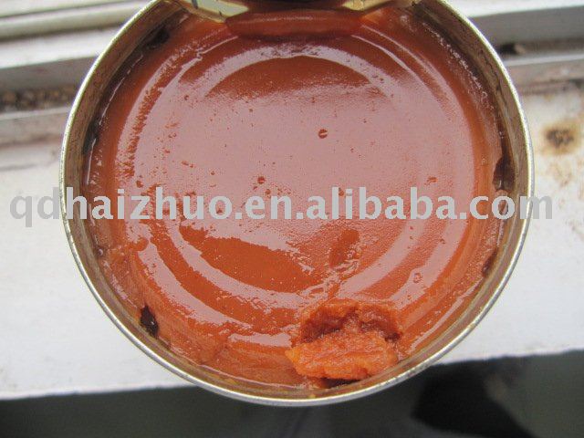 China Tomato paste ketchup 2010 crop