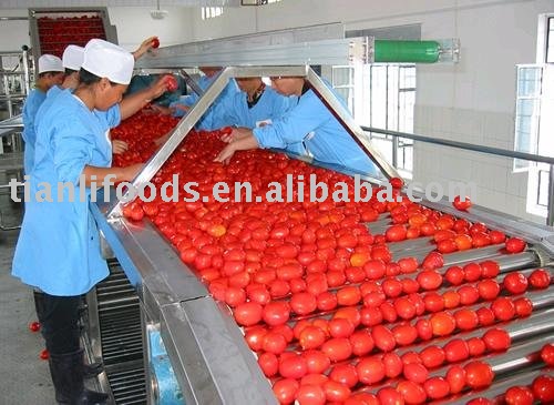 220L 36/38 Aseptic Bag Tomato Paste in Drum