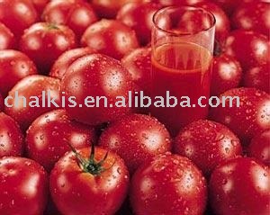  aseptic   tomato   paste  in  drum  (TOP quality, HACCP ISO qualified)