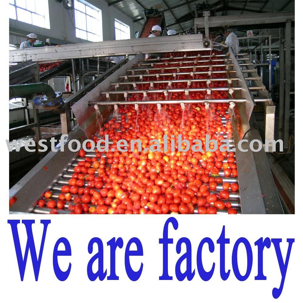  tomato   paste   28 - 30 % HB 