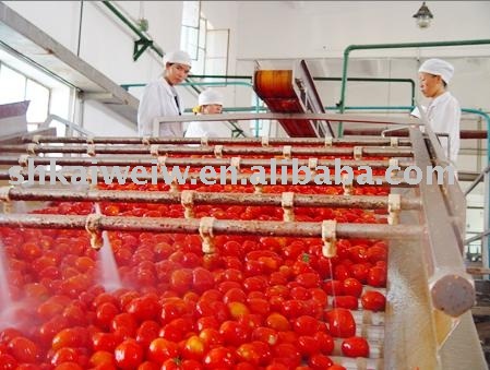 aseptic tomato paste,best tomato ketchup,canned tomato paste