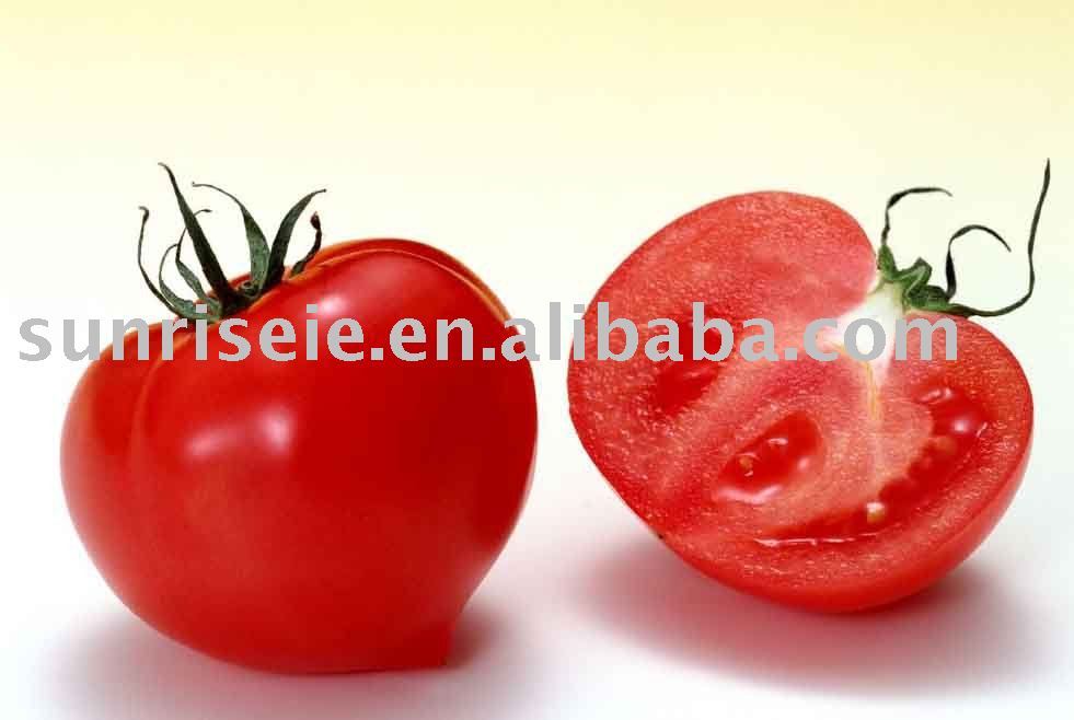 100% natural tomato product - tomato paste packing in drum