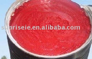 tomato puree packing in drum