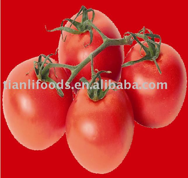 Sell canned tomato paste 210g