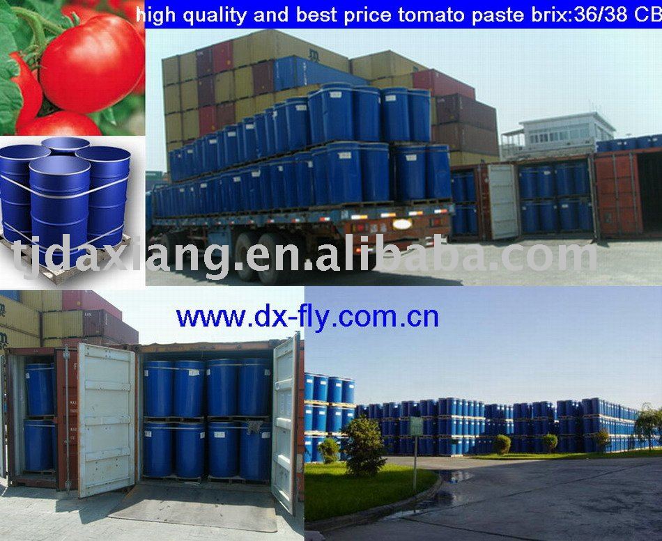 drums tomato paste :2009 high quality and best price tomato paste brix:28/30,cold breake