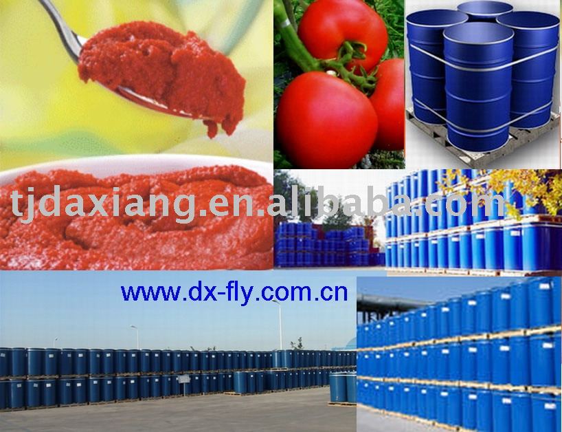 aseptic tomato paste (2009 crop high quality and best price tomato paste brix:36-38%,cold breaker,in
