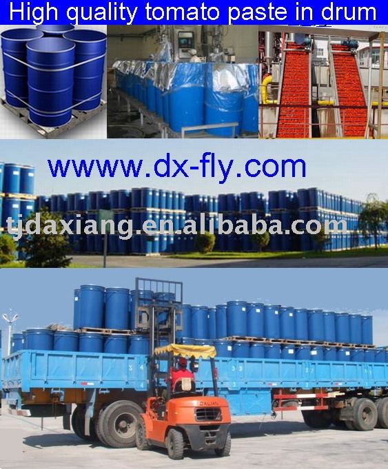 tomato paste in drum (2009 New Crop high quality and best price tomato paste 28-30%,36-38% brix,cold