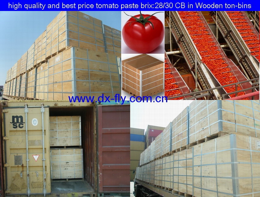 aseptic tomato paste (2009 crop high quality and best price tomato paste brix 28-30% cold breaker in