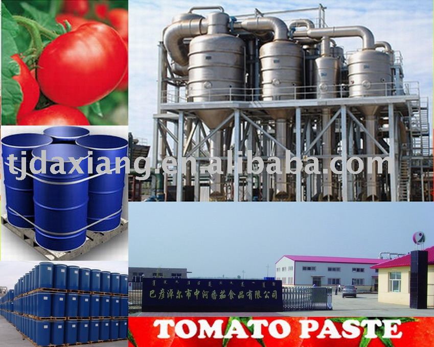 tomato paste (2009 Chinese tomato paste Brix 28-30% cold breake in drum)
