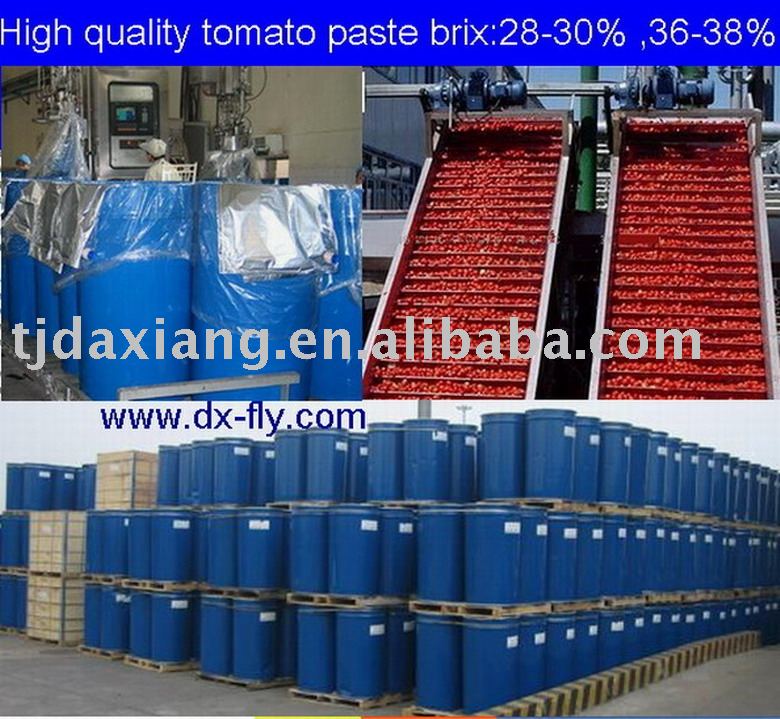 tomato paste (2009 crop aseptic tomato paste in drum brix:28-30%,36-38% cold breaker)