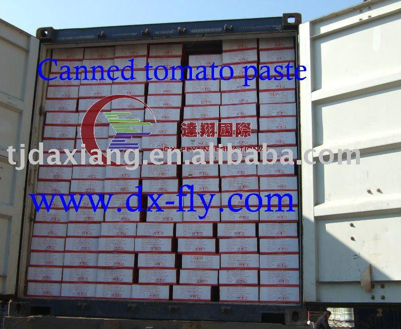 canned tomato paste (High quality chinese canned tomato paste Brix:28-30% cold breake 70g/tin)